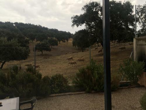 Agroturismo Casa Rural Nacimiento Del Hu�znar
