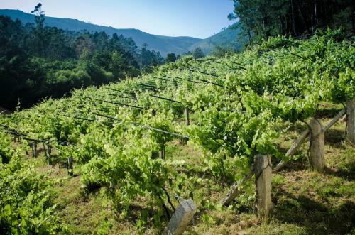 Agroturismo Casa Rural Entre Os R�os