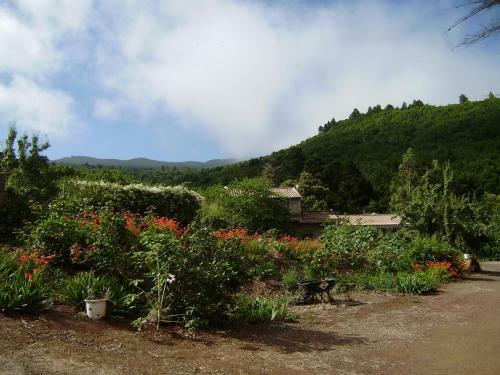 Agroturismo Casa Rural La Gustoza