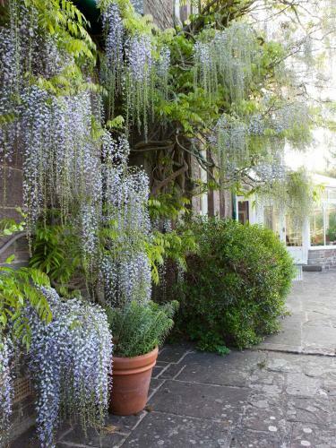Agroturismo Gliffaes Country House Hotel