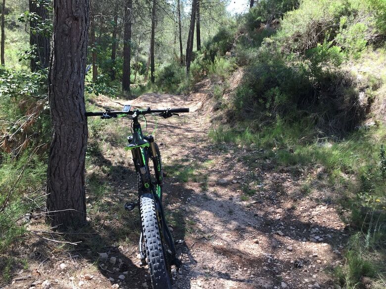 Agroturismo Mas�a La Safranera