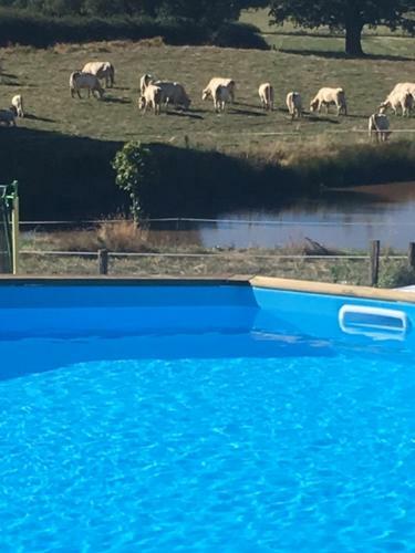 Bed & Breakfast Domaine De La Madeleine