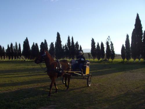 Agroturismo Cortijo Ferradores