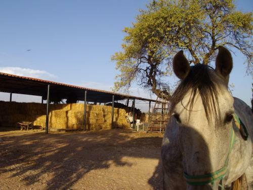 Agroturismo Cortijo Ferradores