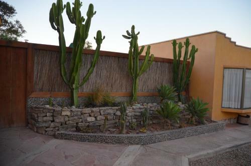 Hotel Atacamalodge