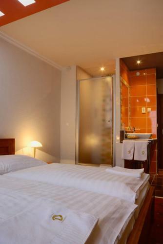 Hotel Druzba