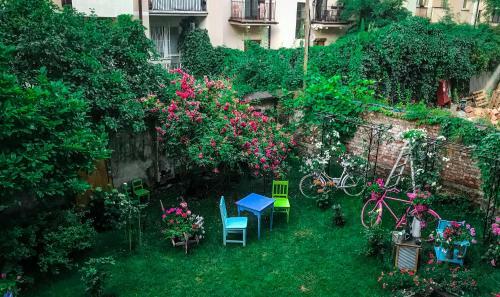 Apartamenty Splendor