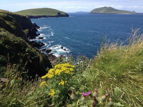 Hostal An Port�n Guest House And Restaurant