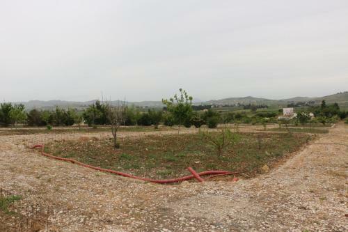 Agroturismo Villa Delle Palme Delfina
