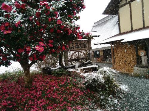 Agroturismo Furumaya House