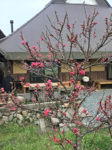 Agroturismo Furumaya House
