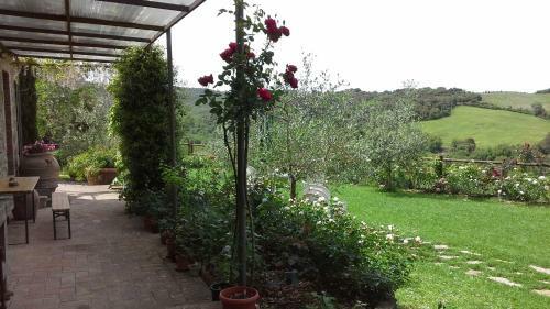 Hostal Casa Crevole
