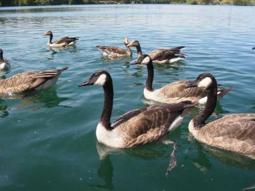 B&B Am See K�ln