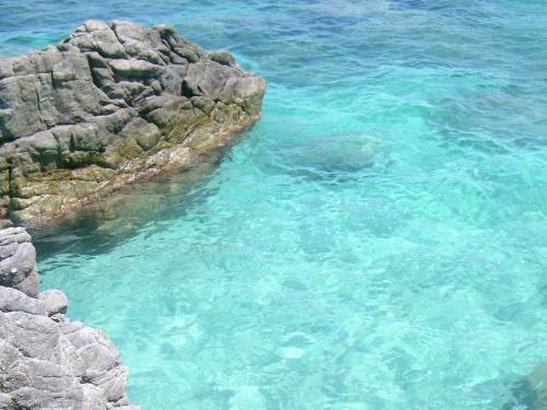 Hostal Holiday Home Flor Parghelia