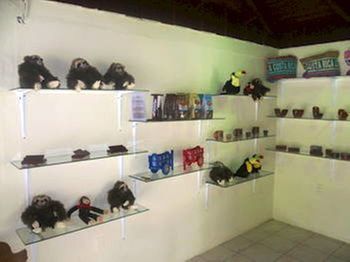 Hotel Arenal Rossi (.)