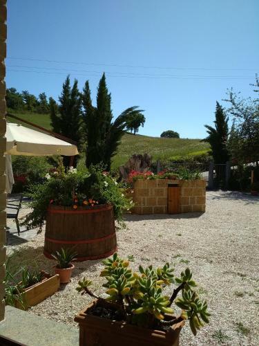 B&B Monticelli