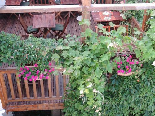 Hotel Auberge Saint Fleuret