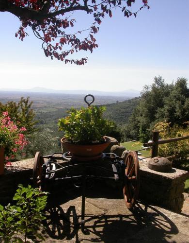 Apartamento Ciliegio