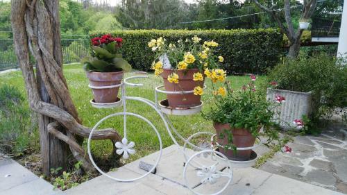 Bed & Breakfast Country House La Scortica