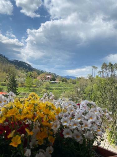 Bed & Breakfast Country House La Scortica