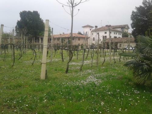 Agroturismo Alloggio Agrituristico Conte Ottelio