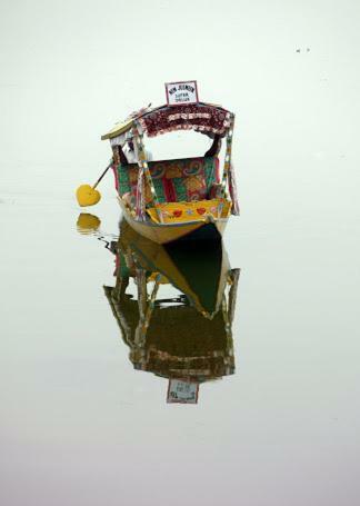 Houseboat Lily Of Nageen