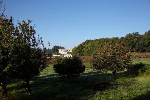 Agroturismo Quinta Do Sobral