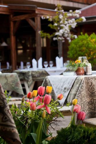 Hotel Sz�rcsa