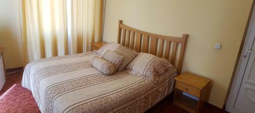 Hostal Pensiunea Phoenix