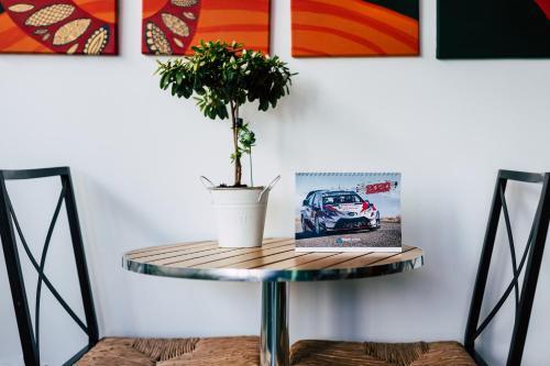 Hostal Pension Gallery