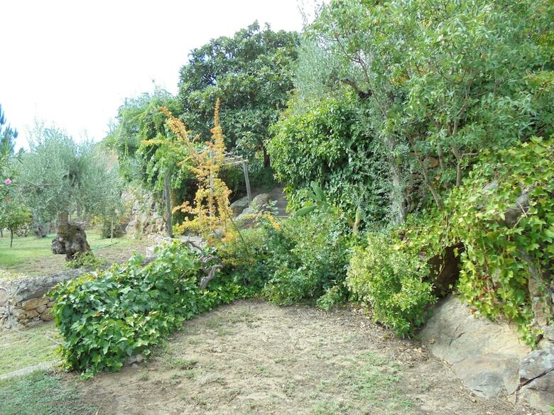Bed & Breakfast Casa Covao Da Abitureira