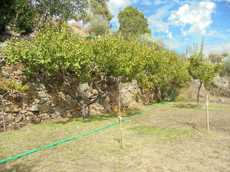 Bed & Breakfast Casa Covao Da Abitureira