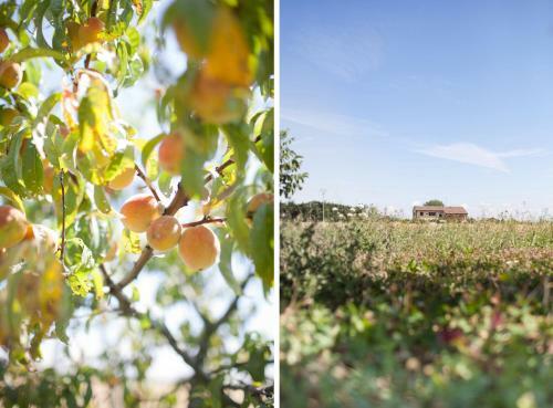 Agroturismo Agriturismo Il Mondo
