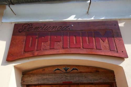 Hostal Pensiunea Oppidum