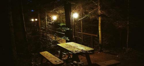 Hostal Pensiunea Poiana Bucovat