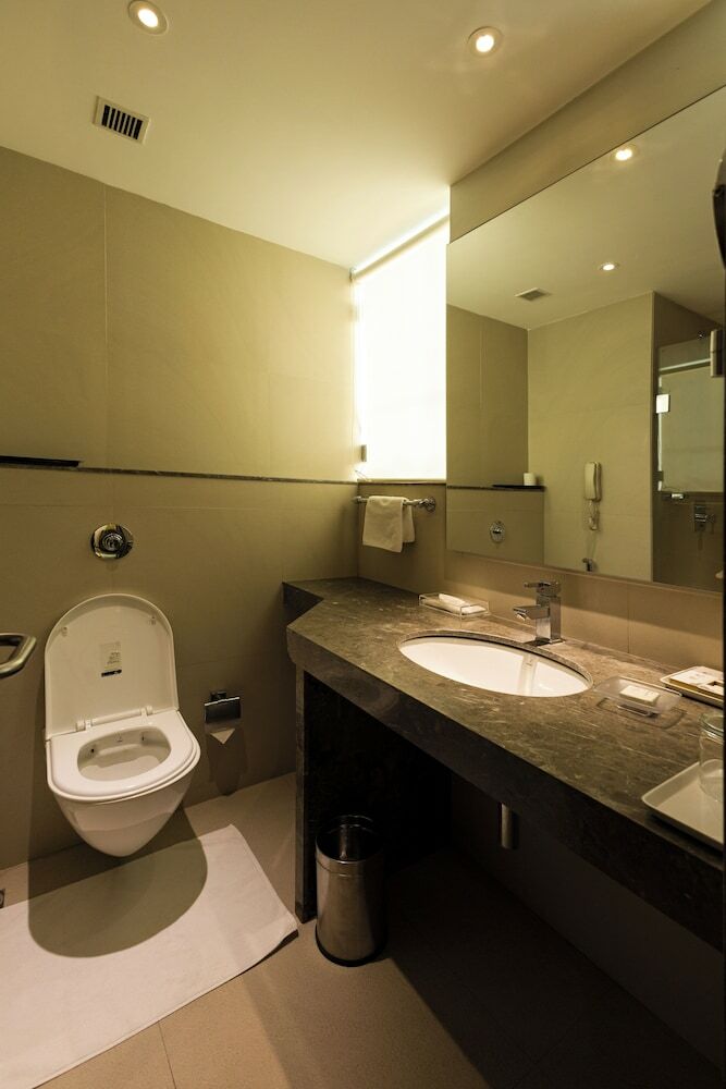 Sayaji Hotel