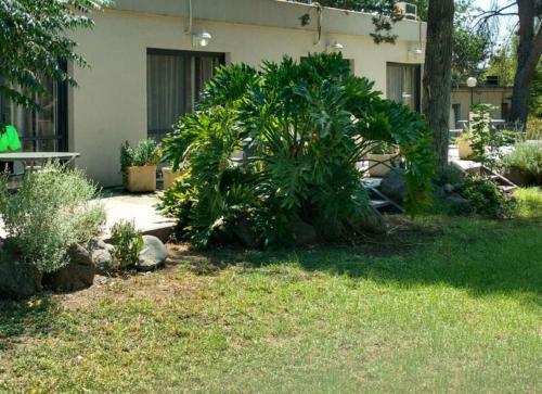 Apartamento Nofe Habashan