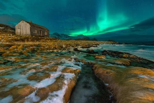 Midt I Lofoten