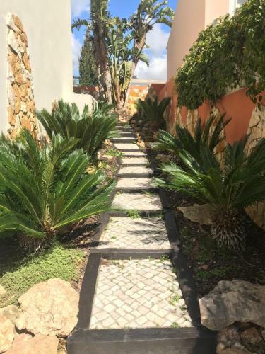 Casa M�s