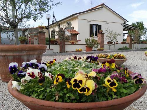 Hostal Terra Dei Santi Country House
