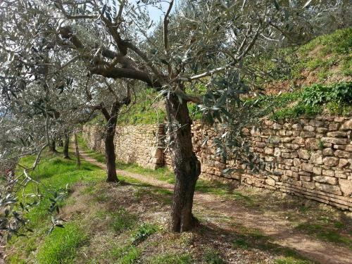Hostal Terra Dei Santi Country House