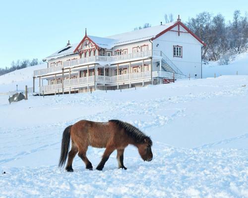 Hotel Hjerkinn Fjellstue