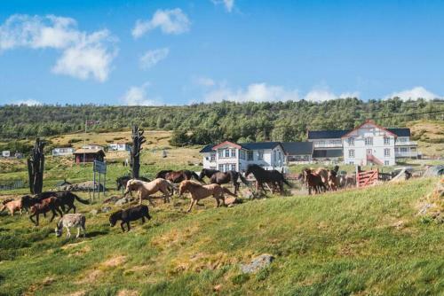 Hotel Hjerkinn Fjellstue