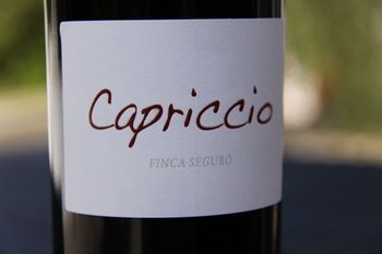Agroturismo Finca Segur�