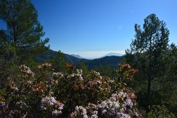 Agroturismo Finca Segur�