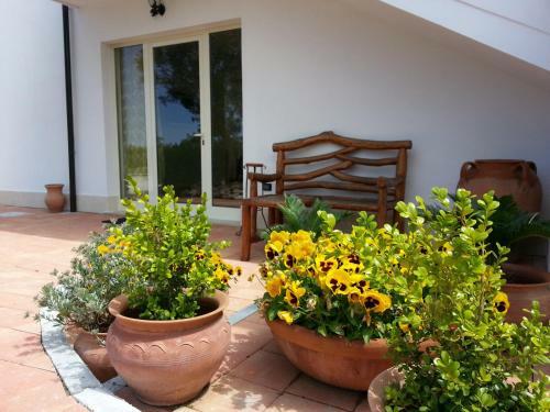 Agroturismo Domus Aurea