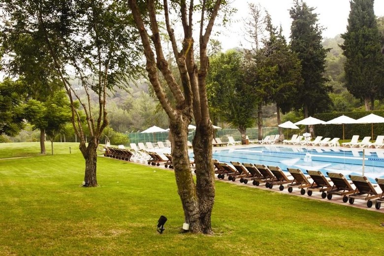 Hotel Carmel Forest Spa Resort By Isrotel Exclusive Collection