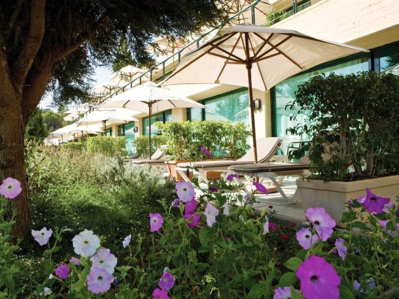 Hotel Carmel Forest Spa Resort By Isrotel Exclusive Collection