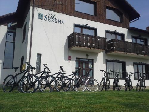 Hostal Serena Guesthouse Bran