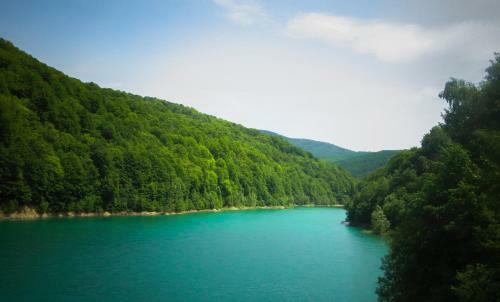 Hostal Pension Atra Doftana